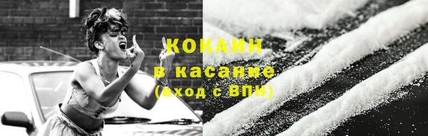 ГАЛЛЮЦИНОГЕННЫЕ ГРИБЫ Инсар