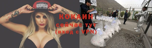 круглые Иннополис