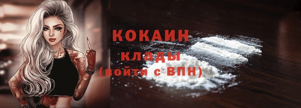 мдпв Инта