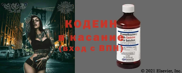 ГАЛЛЮЦИНОГЕННЫЕ ГРИБЫ Инсар