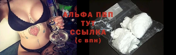 круглые Иннополис