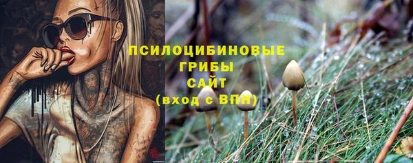 круглые Иннополис