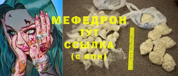 мдпв Инта