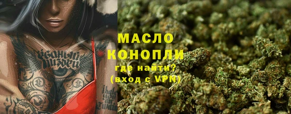 мдпв Инта