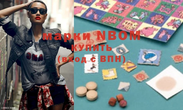 мдпв Инта