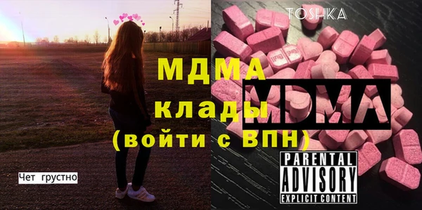 ГАЛЛЮЦИНОГЕННЫЕ ГРИБЫ Инсар