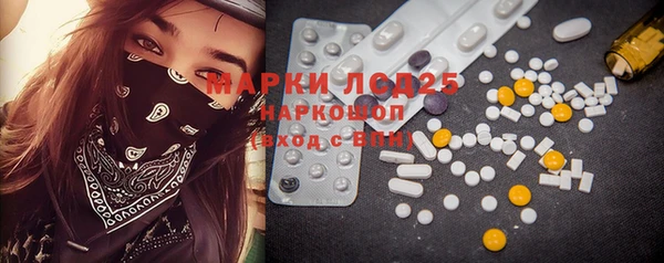 ГАЛЛЮЦИНОГЕННЫЕ ГРИБЫ Инсар