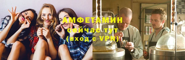 ГАЛЛЮЦИНОГЕННЫЕ ГРИБЫ Инсар