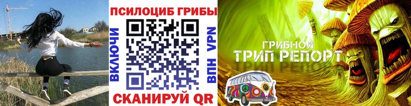 Купить закладки  Отрадная  Галлюциногенные грибы Psilocybine cubensis 